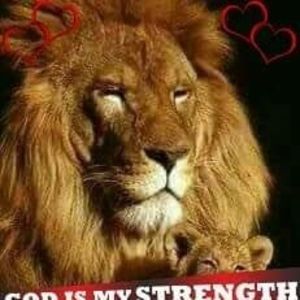 Meet your Posher, Norma